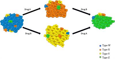 Mathematical analysis identifies the optimal treatment strategy for epidermal growth factor receptor-mutated non-small cell lung cancer